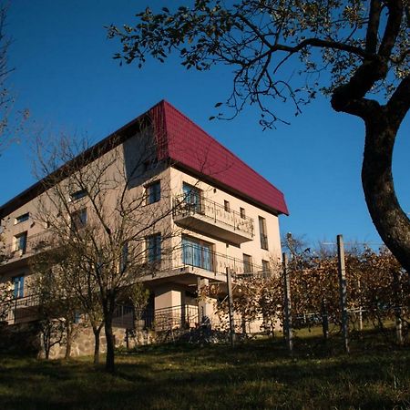 Hotel Panoramic Baia-Sprie Exteriér fotografie