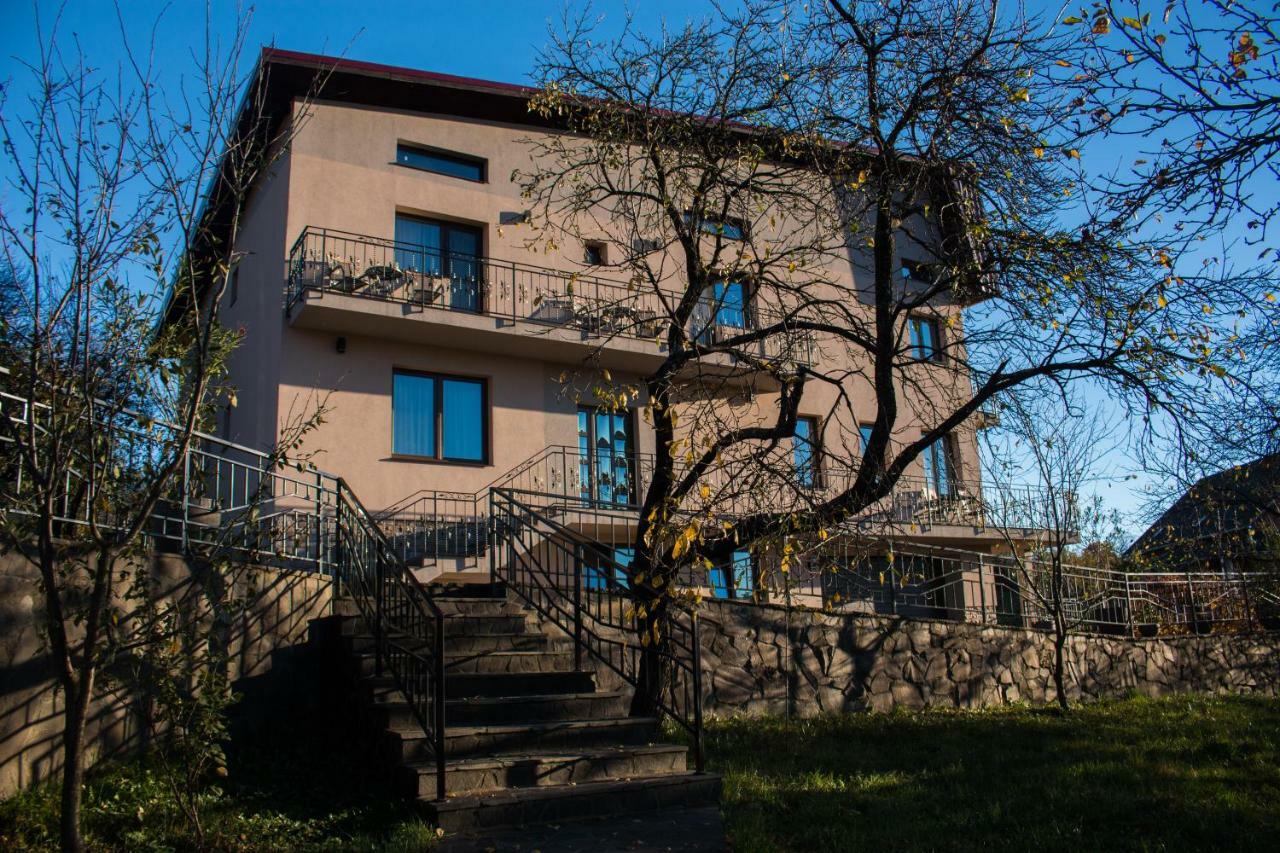 Hotel Panoramic Baia-Sprie Exteriér fotografie