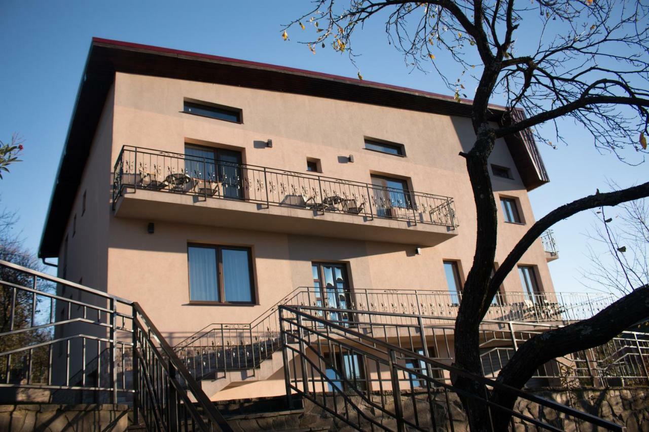 Hotel Panoramic Baia-Sprie Exteriér fotografie