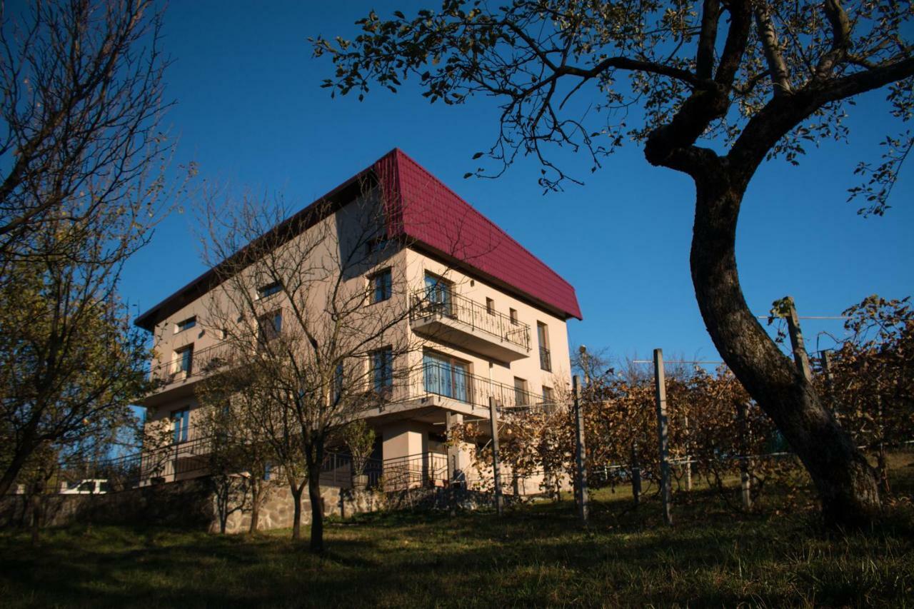 Hotel Panoramic Baia-Sprie Exteriér fotografie
